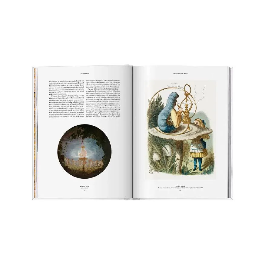 The Gourmand's Mushroom. A Collection of Stories & Recipes, otra vista