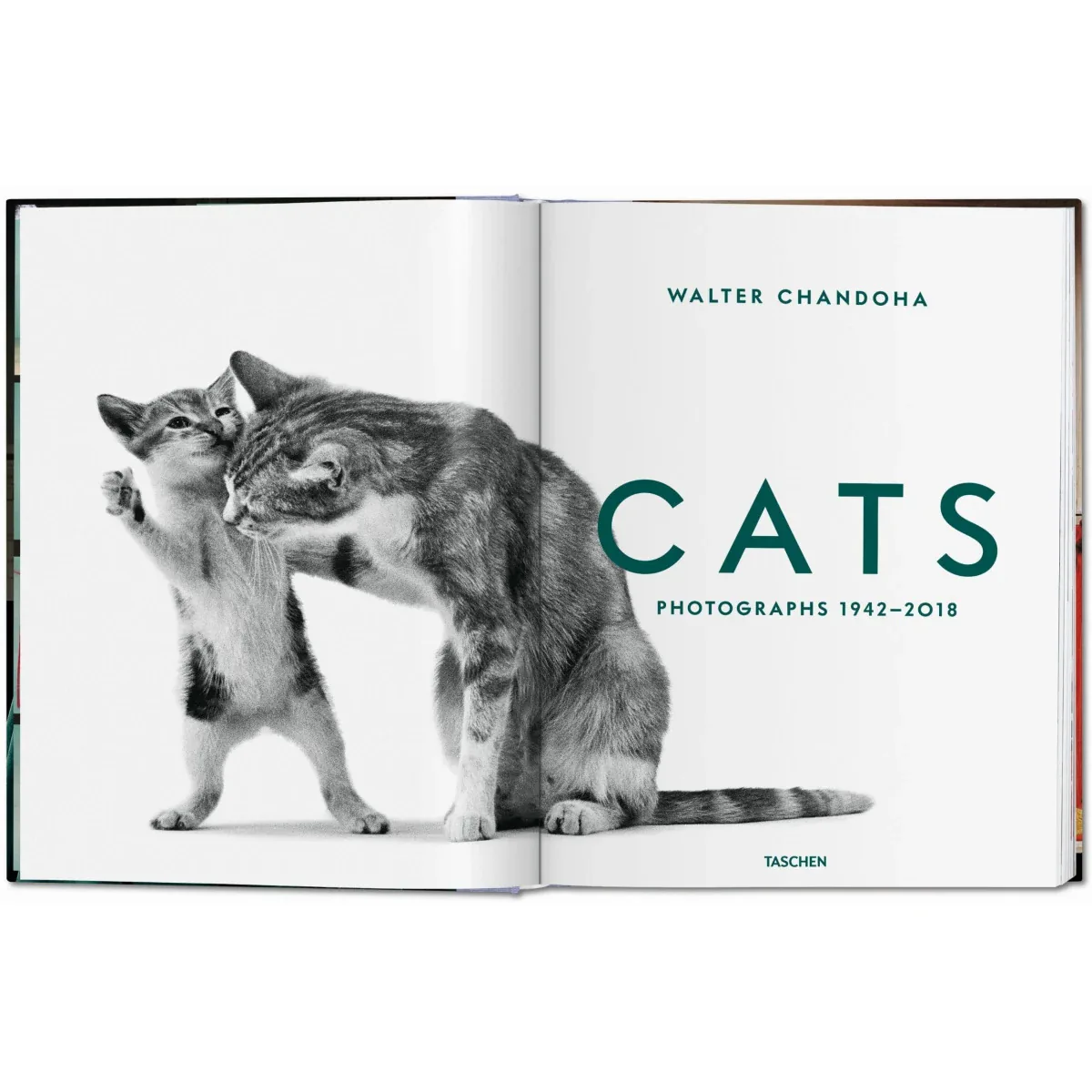 Walter Chandoha. Cats. Photographs 1942–2018, otra vista